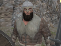 游戏Vikings Aggression