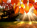 游戏Jigsaw Puzzle: Autumn