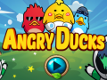 游戏Angry Ducks