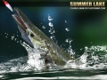 游戏Summer Lake 1.5