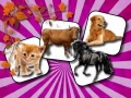 游戏Domestic Animal Memory Challenge