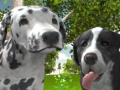 游戏Dog Simulator 3d
