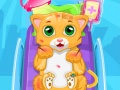 游戏Little Cat Doctor