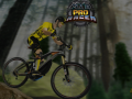 游戏MTB Pro Racer
