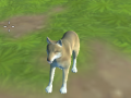 游戏Wolf Simulator