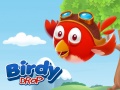 游戏Birdy Drop
