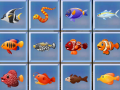 游戏Find The Fish