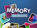游戏Memory Challenge