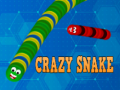 游戏Crazy Snake