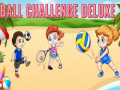 游戏Ball Challenge Deluxe