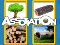 游戏Assotiation 