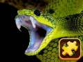 游戏Snake Puzzle Challenge