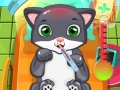 游戏Cat Doctor