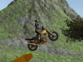 游戏Dirt Bike Rider