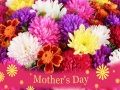 游戏2019 Mother's Day Puzzle