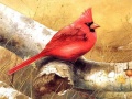 游戏Art Birds Puzzle