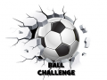 游戏Ball Challenge