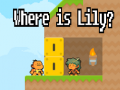 游戏Where is Lily?