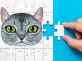 游戏Abyssinian Puzzle Challenge