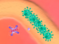 游戏Immunity Defense