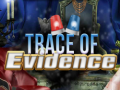 游戏Trace of Evidence