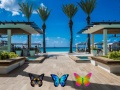 游戏Find 100 butterflies