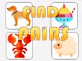 游戏Find The Pair