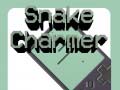 游戏Snake Charmer
