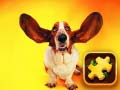 游戏Funny Dogs Puzzle