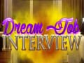 游戏Dream Job Interview