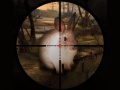 游戏Classical Rabbit Sniper Hunting 2019