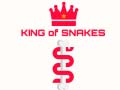 游戏King Of Snakes