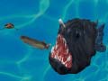 游戏Fish 3d