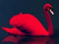 游戏Love Birds Puzzle