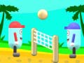 游戏Beach Volleyball