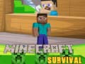 游戏Minecraft Survival