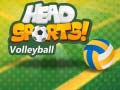 游戏Head Sports Volleyball