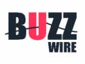 游戏Buzz Wire