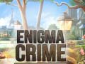 游戏Enigma Crime