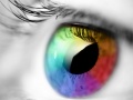 游戏Colours And Designs