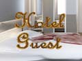 游戏Hotel Guest