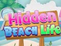 游戏Hidden Beach Life