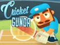 游戏Cricket Gunda