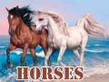 游戏Horses