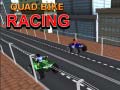 游戏Quad Bike Racing