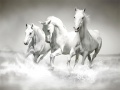 游戏Horses Puzzle