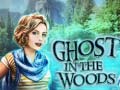 游戏Ghost in the Woods
