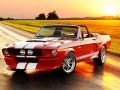 游戏Fancy Mustang Differences