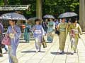 游戏100 Butterflies in Japan