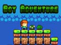游戏Boy Adventure